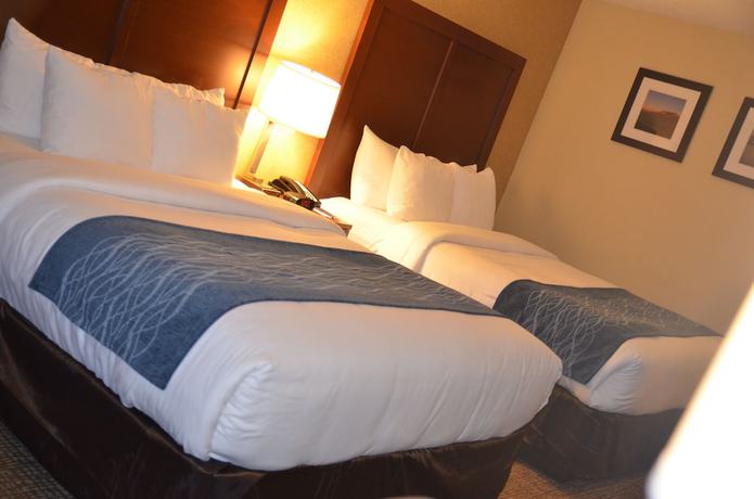 Imagen de la habitación del Hotel Comfort Inn and Suites Vancouver Downtown City Center. Foto 8