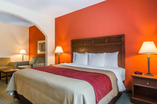 Imagen de la habitación del Hotel Comfort Inn and Suites, Villa Rica. Foto 2