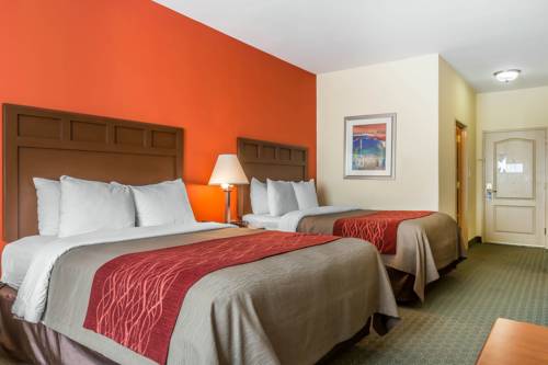 Imagen de la habitación del Hotel Comfort Inn and Suites, Villa Rica. Foto 4