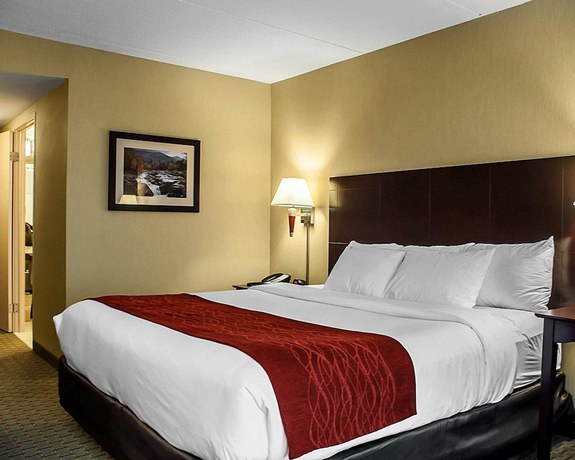 Imagen de la habitación del Hotel Comfort Inn and Suites Watertown - 1000 Islands. Foto 3