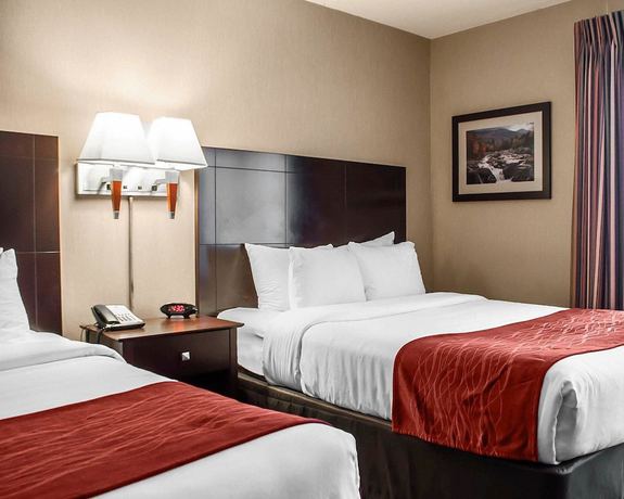 Imagen de la habitación del Hotel Comfort Inn and Suites Watertown - 1000 Islands. Foto 6