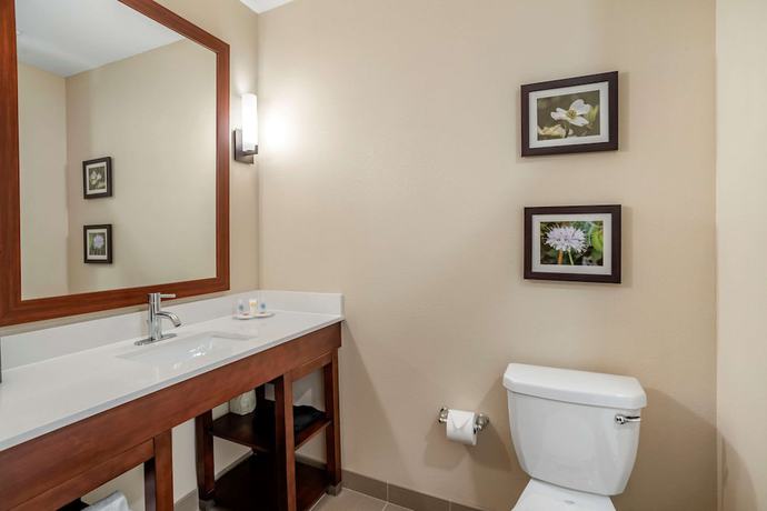 Imagen de la habitación del Hotel Comfort Inn and Suites, Winchester. Foto 2