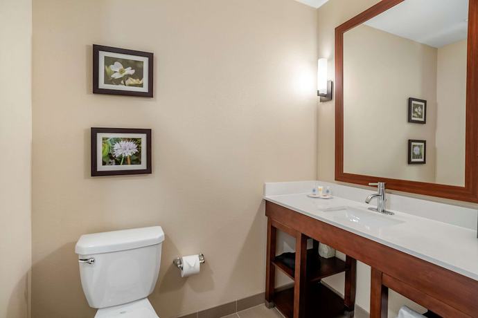 Imagen de la habitación del Hotel Comfort Inn and Suites, Winchester. Foto 13