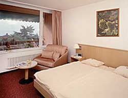 Imagen de la habitación del Hotel Comfort Intereurope. Foto 2