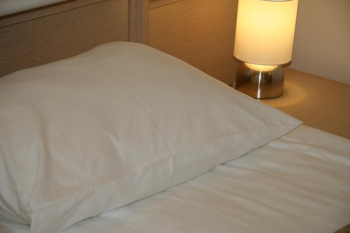 Imagen de la habitación del Hotel Comfort Moscow. Foto 8