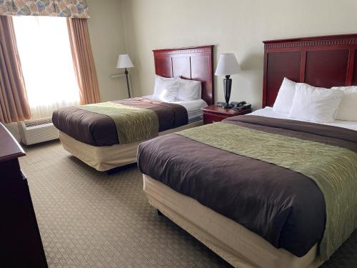 Imagen de la habitación del Hotel Comfort Place Inn. Foto 20