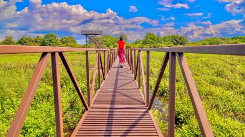 Imagen general del Hotel Comfort Rooms. Foto 15