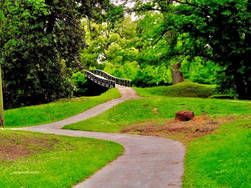 Imagen general del Hotel Comfort Rooms. Foto 16