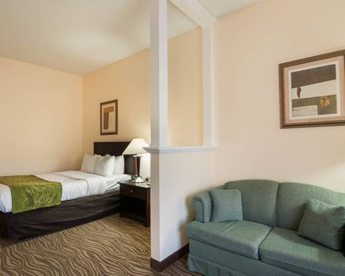Imagen de la habitación del Hotel Comfort Suites Abingdon I-81. Foto 3