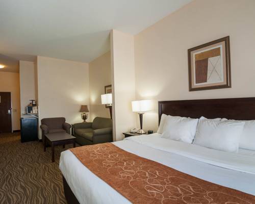 Imagen de la habitación del Hotel Comfort Suites Abingdon I-81. Foto 10