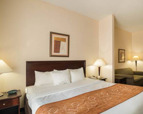 Imagen general del Hotel Comfort Suites Abingdon I-81. Foto 1