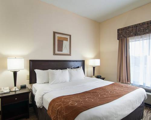 Imagen de la habitación del Hotel Comfort Suites Abingdon I-81. Foto 14