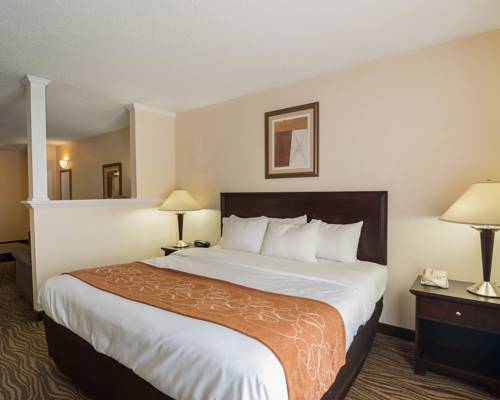 Imagen de la habitación del Hotel Comfort Suites Abingdon I-81. Foto 16