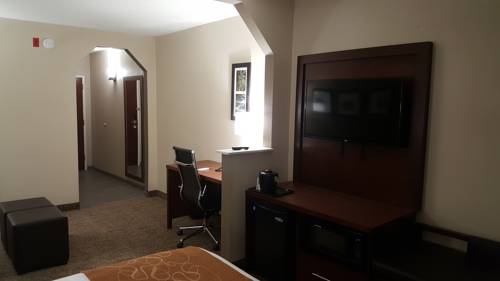 Imagen de la habitación del Hotel Comfort Suites Airport Alcoa. Foto 2
