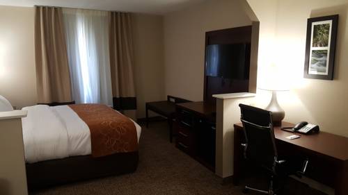 Imagen de la habitación del Hotel Comfort Suites Airport Alcoa. Foto 3