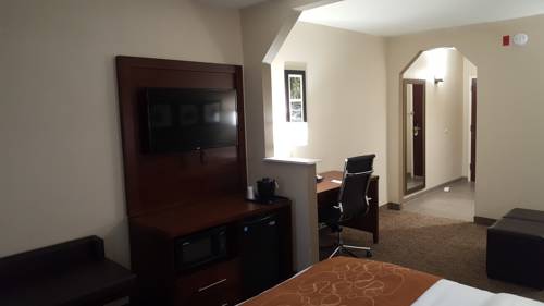 Imagen de la habitación del Hotel Comfort Suites Airport Alcoa. Foto 4