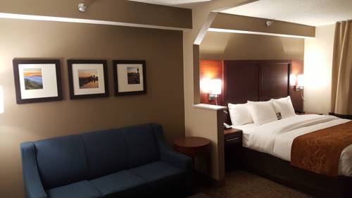 Imagen de la habitación del Hotel Comfort Suites Airport Alcoa. Foto 5