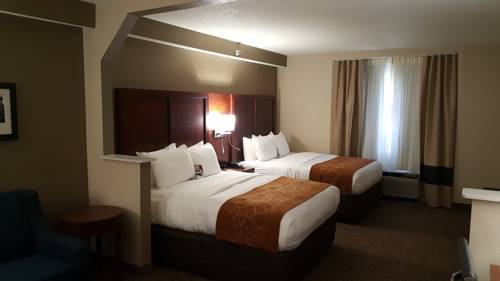 Imagen de la habitación del Hotel Comfort Suites Airport Alcoa. Foto 7