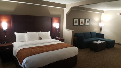 Imagen de la habitación del Hotel Comfort Suites Airport Alcoa. Foto 8