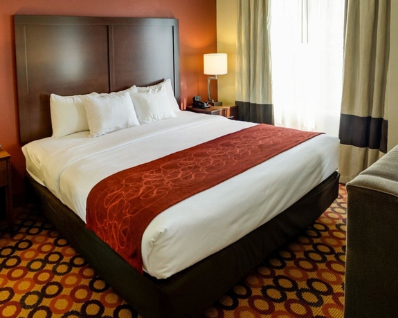 Imagen de la habitación del Hotel Comfort Suites Airport, Charlotte. Foto 2