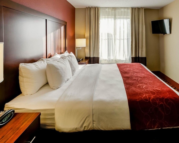 Imagen de la habitación del Hotel Comfort Suites Airport, Charlotte. Foto 6