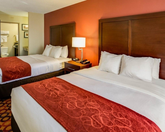 Imagen de la habitación del Hotel Comfort Suites Airport, Charlotte. Foto 10