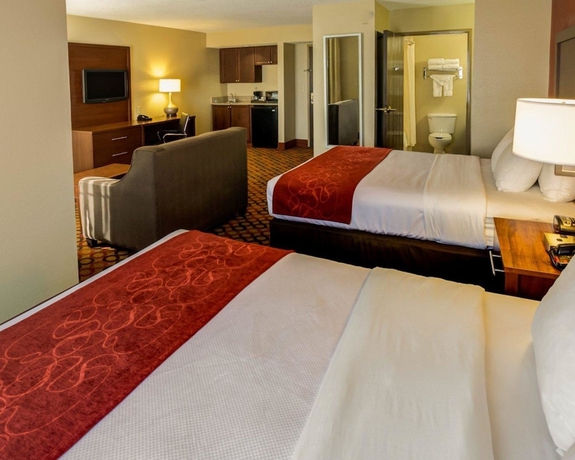 Imagen de la habitación del Hotel Comfort Suites Airport, Charlotte. Foto 11