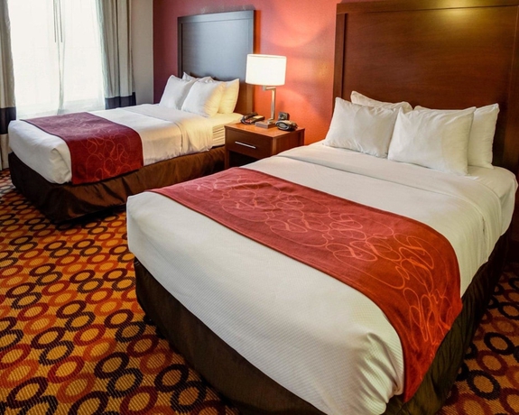Imagen de la habitación del Hotel Comfort Suites Airport, Charlotte. Foto 12