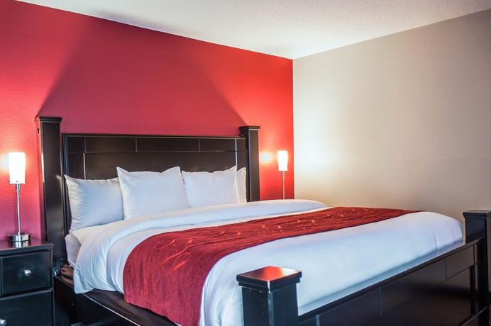 Imagen de la habitación del Hotel Comfort Suites Airport, Nashville-Davidson. Foto 6