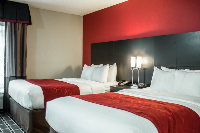 Imagen de la habitación del Hotel Comfort Suites Airport, Nashville-Davidson. Foto 7