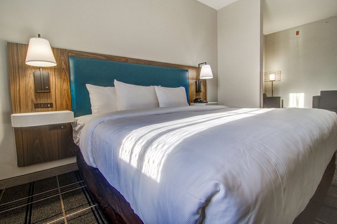 Imagen de la habitación del Hotel Comfort Suites Airport, Newport News. Foto 3