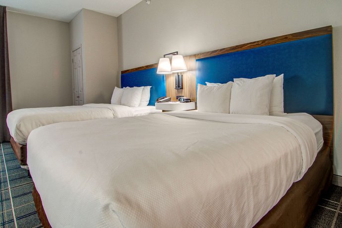 Imagen de la habitación del Hotel Comfort Suites Airport, Newport News. Foto 7