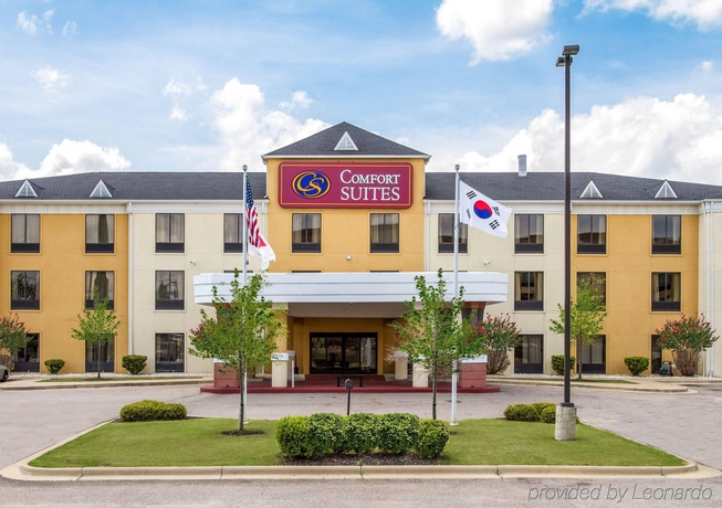 Imagen general del Hotel Comfort Suites Airport South. Foto 3