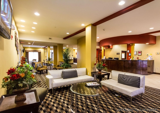 Imagen general del Hotel Comfort Suites Airport South. Foto 7