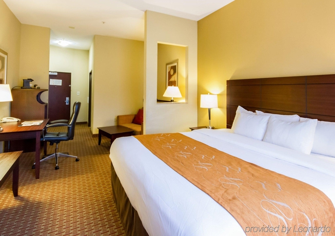 Imagen general del Hotel Comfort Suites Airport South. Foto 9