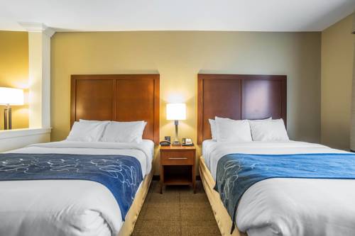 Imagen de la habitación del Hotel Comfort Suites Airport - University. Foto 2