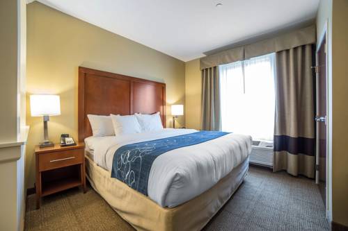 Imagen de la habitación del Hotel Comfort Suites Airport - University. Foto 3