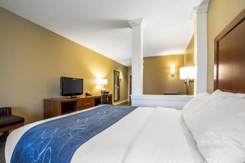 Imagen de la habitación del Hotel Comfort Suites Airport - University. Foto 4
