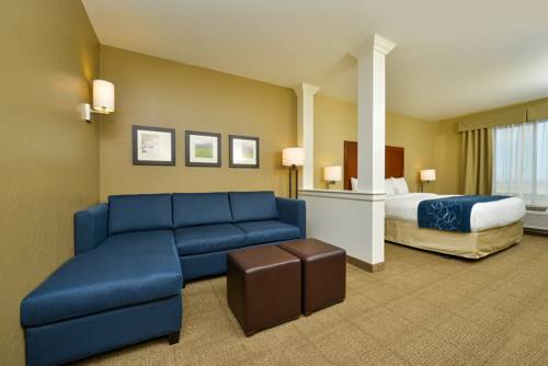 Imagen de la habitación del Hotel Comfort Suites Airport - University. Foto 5