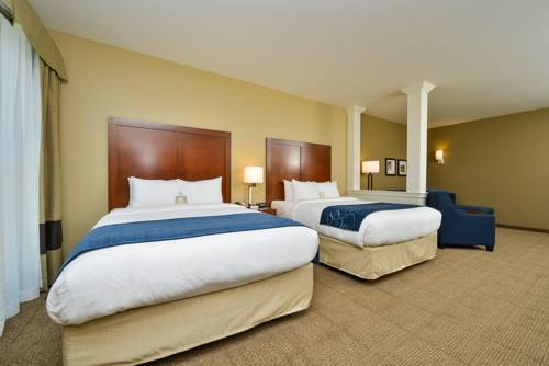 Imagen de la habitación del Hotel Comfort Suites Airport - University. Foto 6