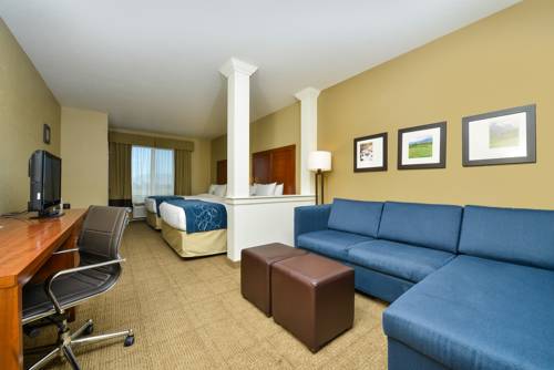 Imagen de la habitación del Hotel Comfort Suites Airport - University. Foto 7