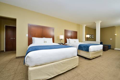 Imagen de la habitación del Hotel Comfort Suites Airport - University. Foto 9