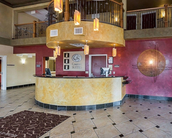 Imagen de los interiores del Hotel Comfort Suites Airport, Wichita. Foto 17