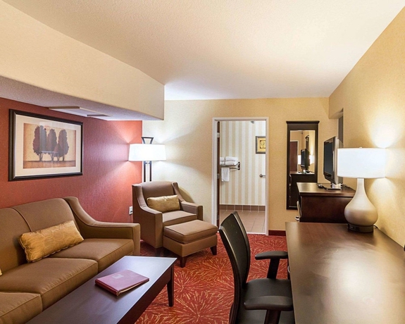 Imagen de la habitación del Hotel Comfort Suites Airport, Wichita. Foto 8
