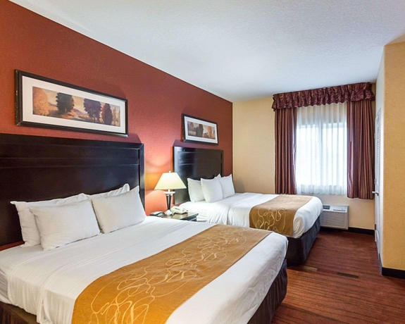 Imagen de la habitación del Hotel Comfort Suites Airport, Wichita. Foto 9