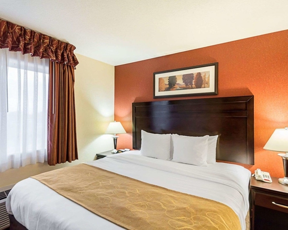 Imagen de la habitación del Hotel Comfort Suites Airport, Wichita. Foto 10