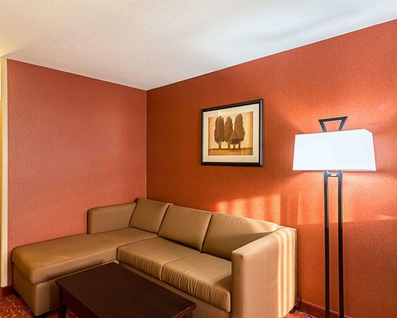 Imagen de la habitación del Hotel Comfort Suites Airport, Wichita. Foto 12
