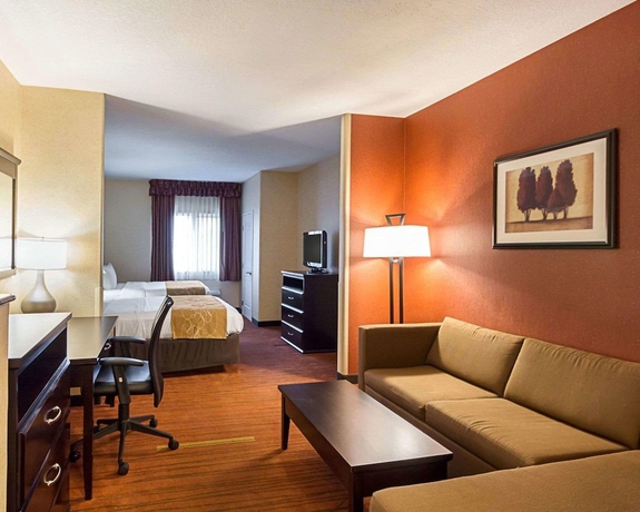 Imagen de la habitación del Hotel Comfort Suites Airport, Wichita. Foto 14