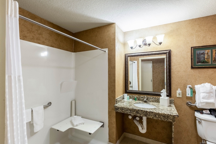 Imagen de la habitación del Hotel Comfort Suites Alamo - Riverwalk. Foto 7