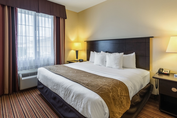 Imagen de la habitación del Hotel Comfort Suites Alexandria. Foto 3